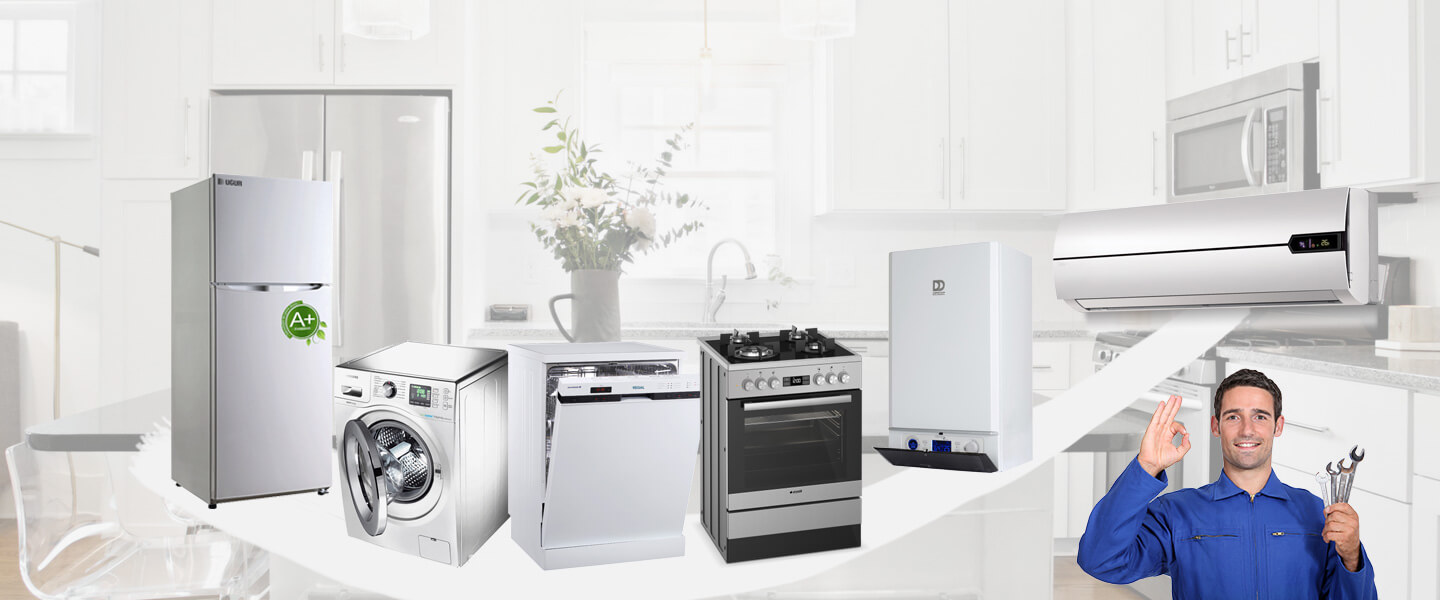 Afyonkarahisar Electrolux Servisi